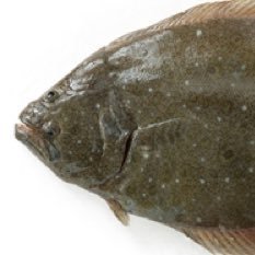 ひらめ🐟🐟🐟さんのプロフィール画像