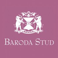 Baroda Stud (@barodastudire) 's Twitter Profile