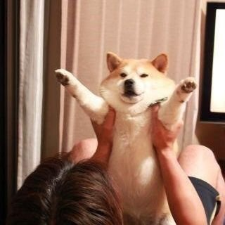 leltree's profile picture. Team Unique。EMBER。라이트노벨/판타지 작가