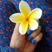 NasiGoreng (@nacgoreng) 's Twitter Profile Photo