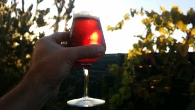 lizardking_____'s profile picture. Brewer, creative soul