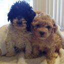 Dora Lozano - @DoraL3 - Twitter