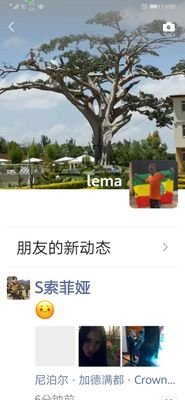 lemalewis3's profile picture. golf