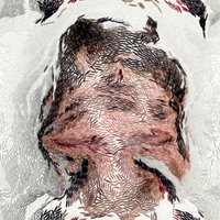 Oliver Meacock (@olimeacock) 's Twitter Profile