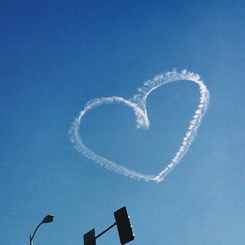 zizi7_april's profile picture. Hi, from tokyo