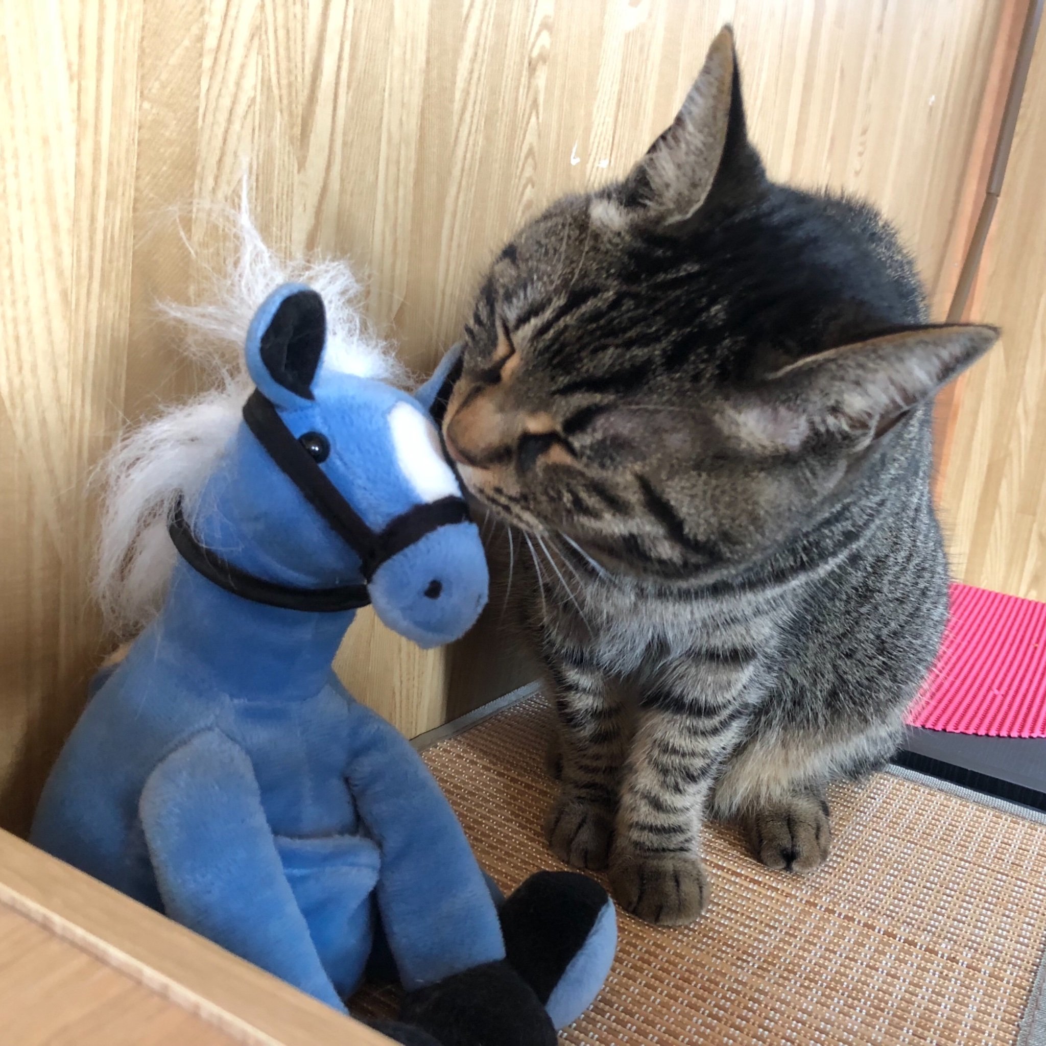 highzie's profile picture. 