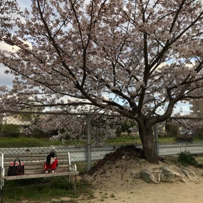 00XznmbzlIa6d7t's profile picture. 