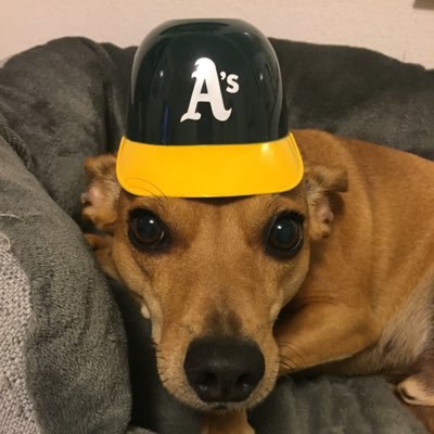 momlerz's profile picture. Trump 2020