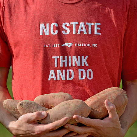 Graduates of the NC State Department of Horticultural Science are moving into excellent careers. Follow for leads to outstanding job opportunities.