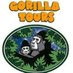 Gorilla Tours Ltd (@GorillaToursLtd) Twitter profile photo