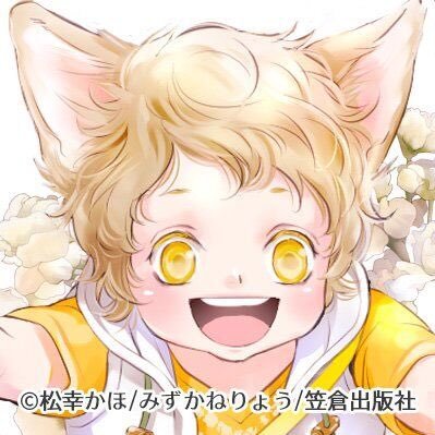 Amazon.co.jp: 松幸かほ○狐の婿取り シリーズ全20巻 おまけ付