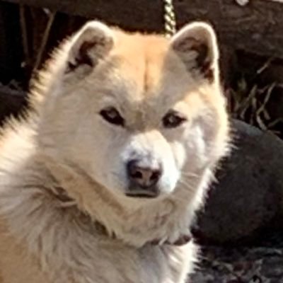 タゴ涙腺崩壊タローさんのプロフィール画像