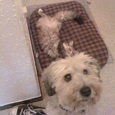 doubleRG14's profile picture. 