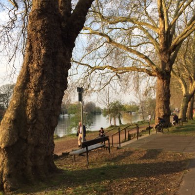 diaryfriday's profile picture. Views are my own.