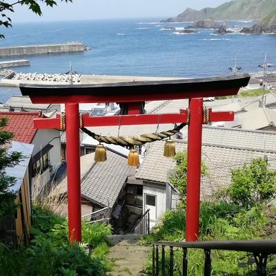 fanta29290's profile picture. なんやかんやあって新潟で農業研修→R4.4農家になりました。枝豆メイン。FM新潟が心の癒し。albirex