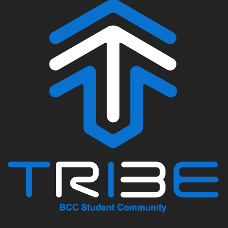 BCCSM's profile picture. 