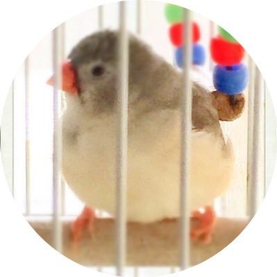 marine7136's profile picture. いつも見守っていて下さる皆様に感謝♪海、神社巡り、食べる事が好き✨24歳の娘、旦那様、インコと同居中。笑い文字初級講師/ハートサインダンス®認定講師/東洋薬膳茶スペシャリスト/ドラクエXを時々。マヤ暦 黄色い人/青い手