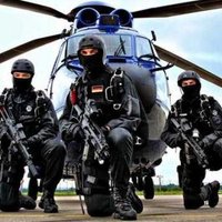 BRAVO NKRI (@bravonkri) 's Twitter Profile