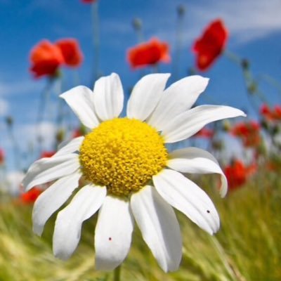 ManuelaFlorit's profile picture. 