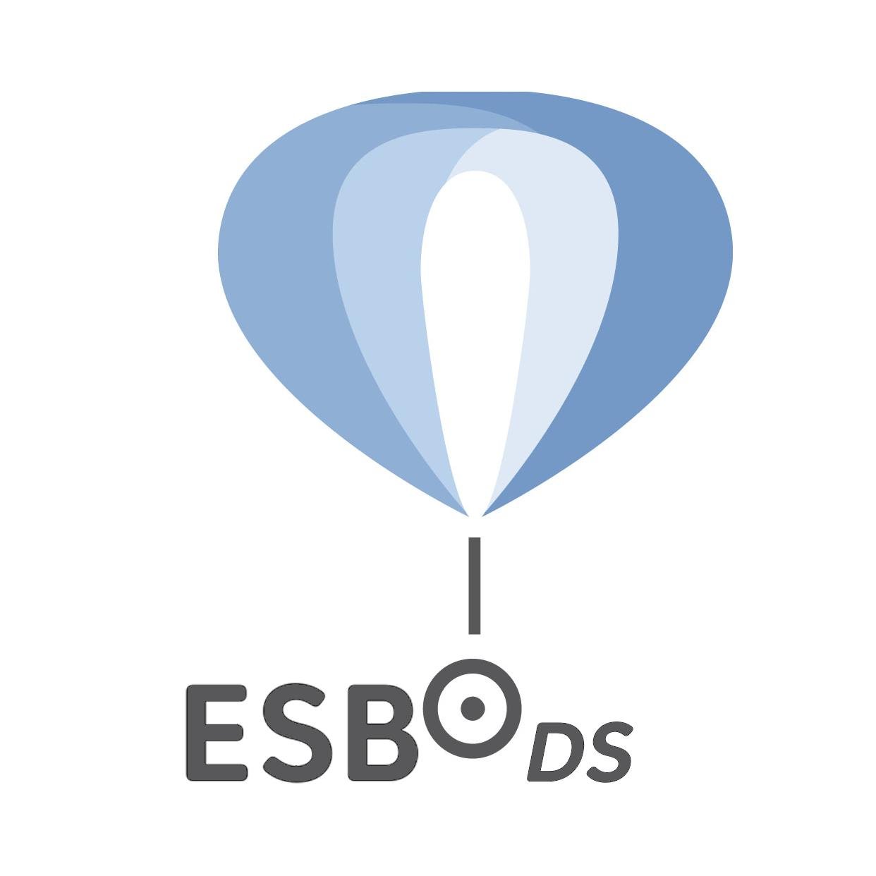 ESBO_DS's profile picture. Balloon-based observatory under construction