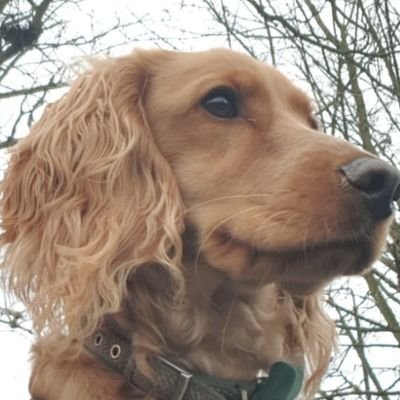 Aaron Profile