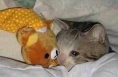 MeiomiM's profile picture. non-binary (they/them), I do art sometimes