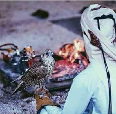 بدوي وبفتخر