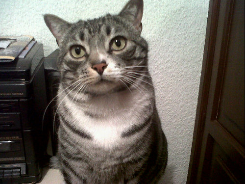 fersalgadob's profile picture. 