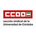 CCOO - Universidad de Córdoba (@ccoouco) Twitter profile photo CCOO - Universidad de Córdoba (@ccoouco) Twitter profile photo