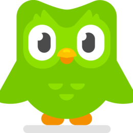 Duolingo Bird Profile