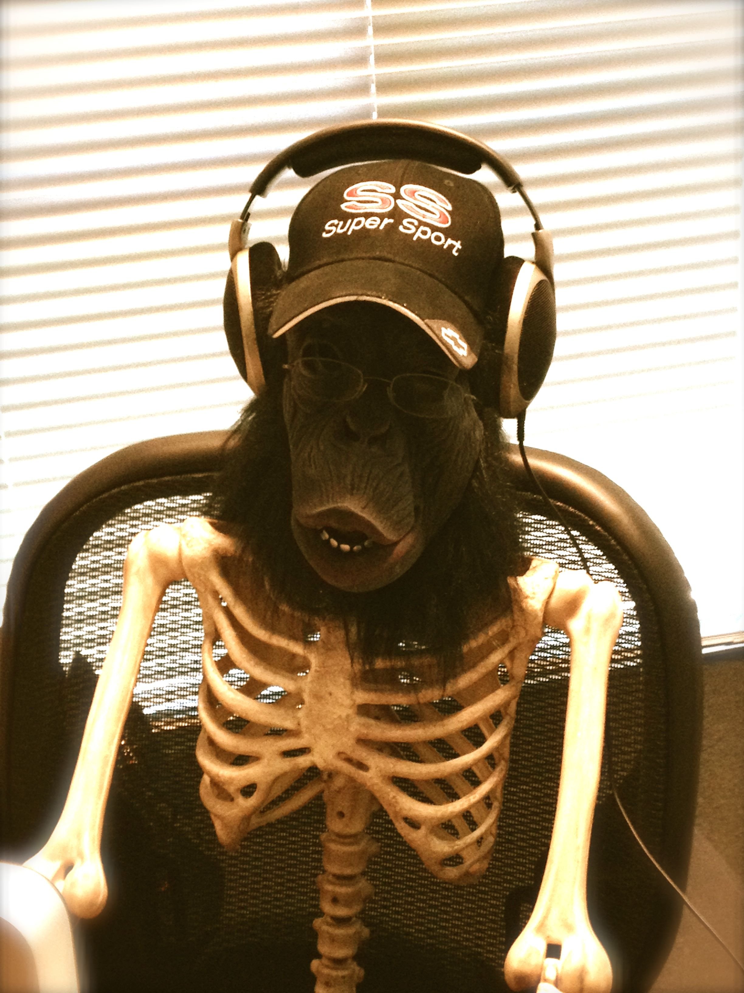 elliotthakzar's profile picture. Software Developer, knowledge enthusiast, disbeliever in the power of sleep.