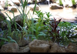 kdm724's profile picture. sixsburgh baby