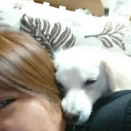 rieco9424's profile picture. いい響きの言葉が好き♡
お作法をとても大切にしています。
魂のステージをあげたい。
徳を積まなきゃ。
大切なものはずっと大切✨
愛すべき存在に感謝🐾
基本的には面識(認識)がない方へのコメントバックはいたしません。