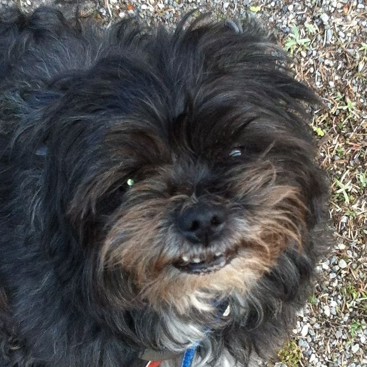 DennisMuirhead1's profile picture. 