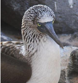 entronium's profile picture. Part-time ninja. Gamer in every sense. Reader. Lurker.