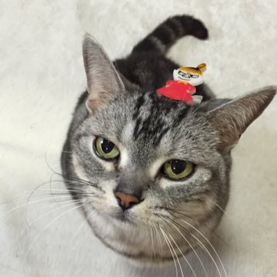 K68325974's profile picture. 