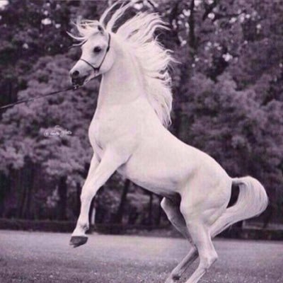 Hh69467100's profile picture. أيوجُعِني الزمآن والله ربي ؟.