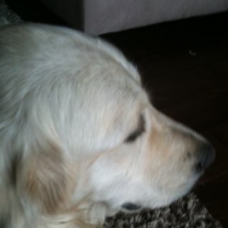 Egnalkram's profile picture. Owner Tytech Solution under contract with Departure Lounge building our new volumetric motion capture stage