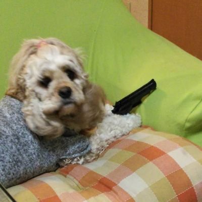 hanyayamakaworu's profile picture. ロン毛