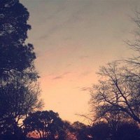 Smuggy (@_jason_rose_17) 's Twitter Profile