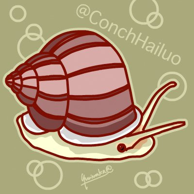 ConchHailuo Profile Picture