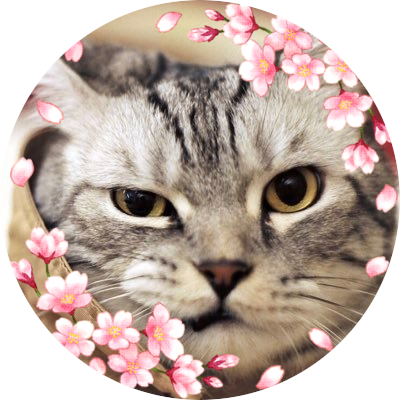 catmusume Profile Picture