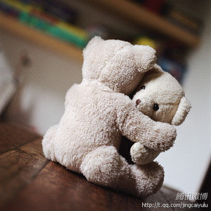 SONGDAYE01's profile picture. 你不是我，不知我走过的路，心中的苦与乐！