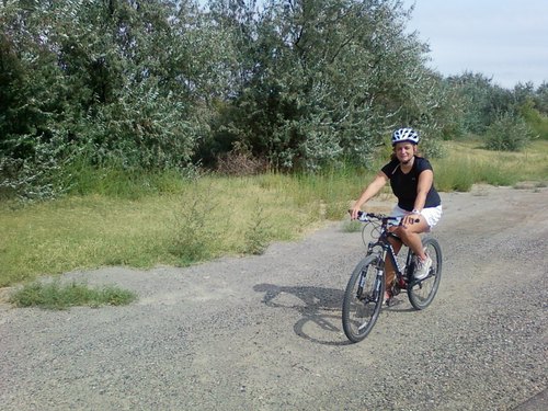 fuselighter's profile picture. 