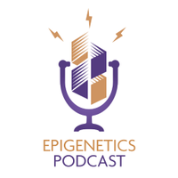 Epigenetics Podcast(@epigenetics_pod) 's Twitter Profile Photo