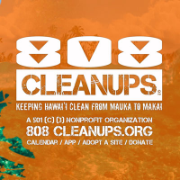 808cleanups(@808cleanups) 's Twitter Profile Photo