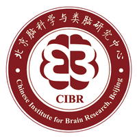 Chinese Institute for Brain Research, Beijing (@chinese_brain) 's Twitter Profile