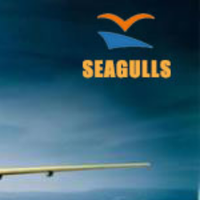 Seagulls International Logistics(@SeagullsLog) 's Twitter Profile Photo