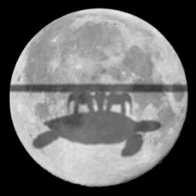 Memeunit2234's profile picture. i love memes