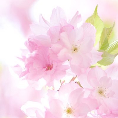 6yunyu9's profile picture. 